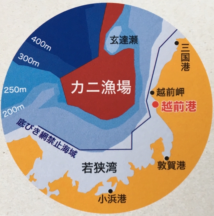 越前岬沖
